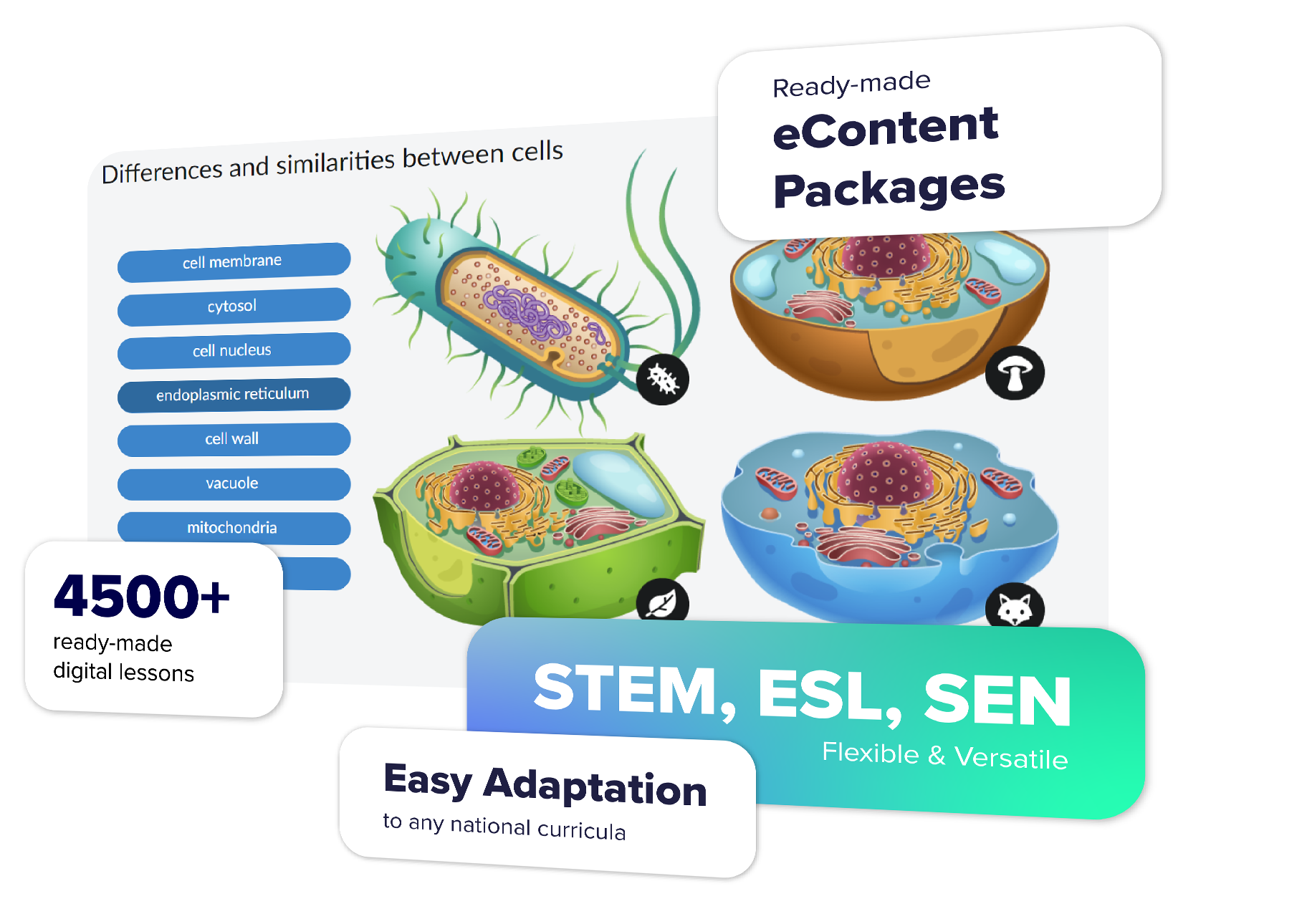 Choose ready made eContent to expand your K-12 publishing offer