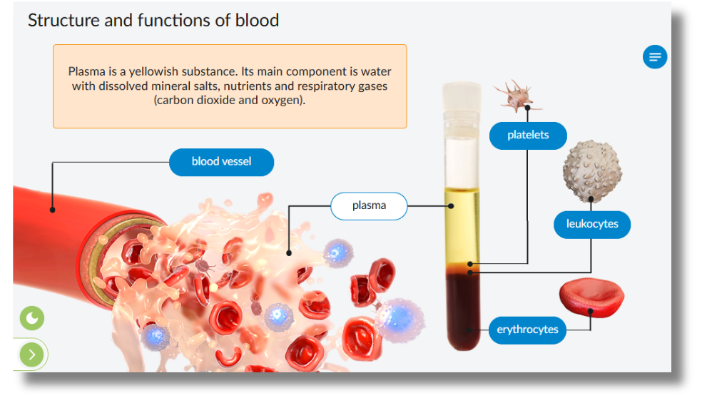 Structure and functions of blood